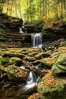 Pennsylvania Prints: B. Reynolds Falls in Autumn, Ricketts Glen State Park, Benton, Pennsylvania, USA