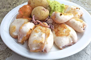Images Dated 18th February 2016: Baby Squid and Boiled Salted Potatoes Tapas with Mojo Sauce, Las Palmas de Gran Canaria