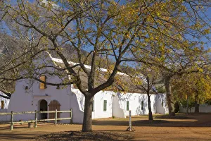 Babylonstoren Wine Estate, Paarl, Western Cape, South Africa