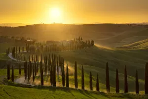 Baccoleno at sunset, municipality of Asciano, Siena province, Tuscany district, Italy