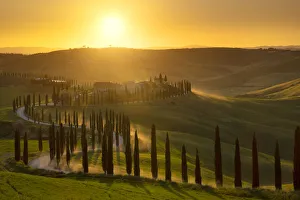 Typical House Prints: Baccoleno at sunset, municipality of Asciano, Siena province, Tuscany district, Italy