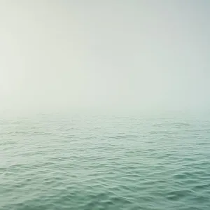 Venetian Prints: Bacino di San Marco in dense fog, Venice, Veneto, Italy