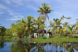 Alappuzha Gallery: Backwaters, Alappuzha or Alleppey, Kerala, India