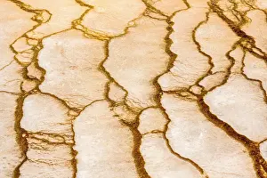 Carvings Prints: Bacterial mat patterns in Grand Prismatic Spring (winter)