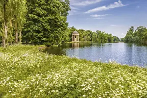 Flower Meadow Prints: Badenburg Lake with Apollo Temple in Nymphenburg Palace Park, Upper Bavaria, Bavaria