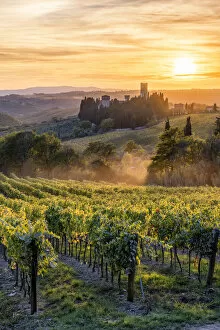 Vineyards Collection: Badia a Passignano at sunset. Tavernelle Val di Pesa, Florence province, Tuscany, Italy