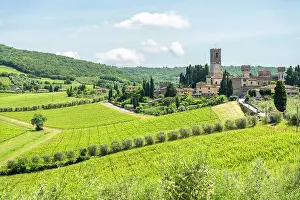 Grape Prints: Badia a Passignano, Tuscany, Italy. Vineyards and historic abbey