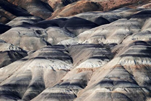 Images Dated 13th July 2020: Badlands of the Argentinian Patagonia in the late afternoon light, Patagonia, Argentina