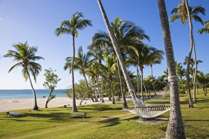 Bahamas, Abaco Islands, Great Abaco, Marsh Harbour, Abaco Beach Resort and Marina