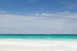 Briland Prints: Bahamas, Eleuthera Island, Harbour Island, Pink Sands Beach