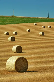 Manitoba Prints: Bales Bruxelles, Manitoba, Canada