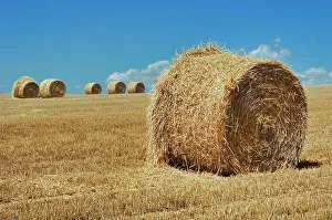 Bales Bruxelles, Manitoba, Canada