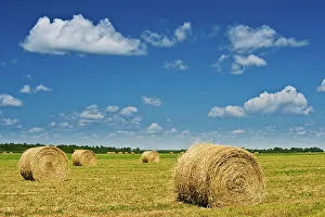 Bales Prints: bales New Liskeard, Ontario, Canada