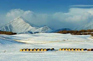 Images Dated 5th June 2023: Bales and Rocky Mountains with approaching storm, Alberta, Canada