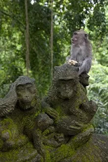 Images Dated 25th February 2011: Bali, Ubud. A Macaque sitting on a stone carving of a Macaque