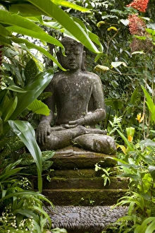 Lesser Sunda Islands Prints: Bali, Ubud. A statue of Budda sits serenely in gardens