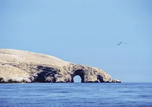 Ica Region Prints: Ballestas Islands near Paracas, Ica Region, Peru