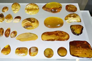 Baltic amber, the gold of the Baltic, in the Amber museum. Gdansk, Poland