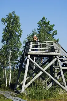 Platform Prints: Baltic States Latvia Observation Platform in the protected