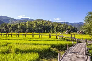 Bamboo bridge over paddy fields, Pai, Mae Hong Son province, Northern Thailand, Thailand