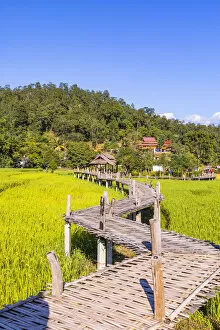 Images Dated 5th August 2020: Bamboo bridge over paddy fields, Pai, Mae Hong Son province, Northern Thailand, Thailand