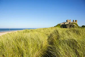 Grasses Prints: Bamburgh Castle, Northumberland, England, UK