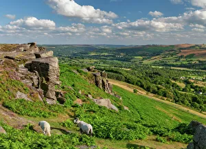 Outcrop Prints: Bamford Edge, Peak District National Park, Derbyshire, England