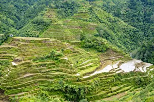 Images Dated 9th May 2019: Banaue rice terraces in early spring, Mountain Province, Cordillera Administrative Region