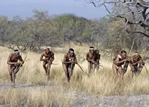 Bushmen Gallery: A band of