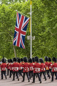 Images Dated 15th June 2022: Bandsman during Trooping the Colour, London, England, Uk