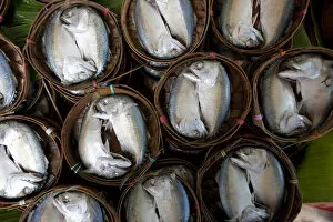 Images Dated 18th February 2010: Bangkok, Thailand. Fish for sale in a market in Bangkok