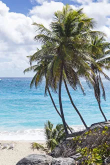 Barbados, Bottom Bay