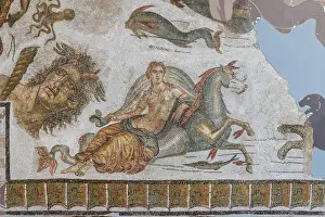 Mosaic Prints: Bardo Museum, Tunis, Tunisia