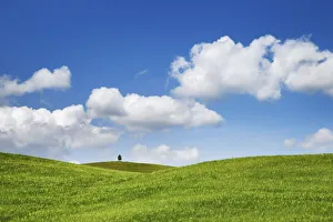 Barley Prints: Barley field and cumulonimbus clouds - Italy, Tuscany, Siena, Val d Orcia