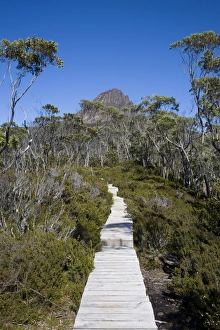 Overland Track Gallery: Barn Bluff on the Overland Track