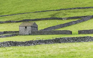 Barns Collection: Barn and dry stone walls near Castleton, Peak District National Park, Derbyshire, England