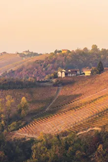 Barolo, Cuneo Province, Piedmont, Italy