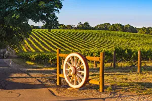 South Australia Prints: Barossa Valley, South Australia, Australia