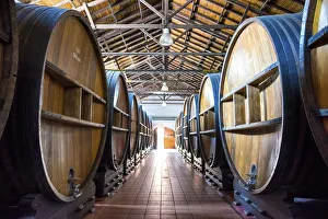 Barrels Prints: Barrels of Wine, Mendoza, Argentina, South America