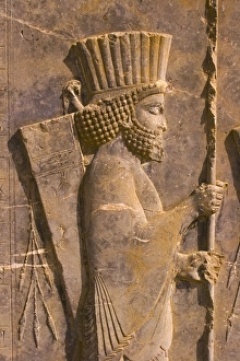 Bas reliefs, Persepolis, Fars Province, Iran