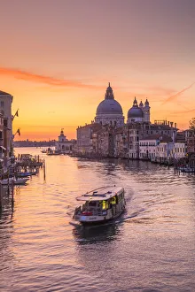 Images Dated 19th September 2019: Basilica di Santa Maria della Salute, Grand Canal, Venice, Veneto, Italy