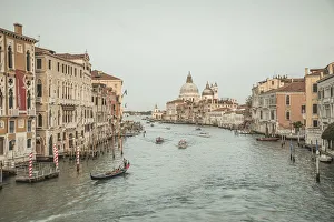 Venice Prints: Basilica di Santa Maria della Salute, Grand Canal, Venice, Veneto, Italy