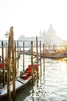 Images Dated 8th February 2023: Basilica di Santa Maria della Salute on the Grand Canal, Venice, Veneto, Italy
