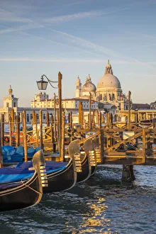 Images Dated 3rd October 2016: Basilica di Santa Maria della Salute & St. Marks Square (San Marco) Venice, Italy