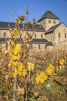 Rheingau Prints: Basilica Sankt Agidius in Mittelheim, Rheingau, Hesse, Germany