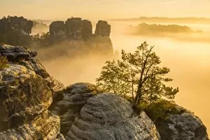 Rock Formation Collection: Bastei, Saxon Switzerland National Park, Saxony, Germany