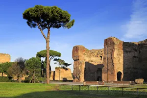 Bath Prints: Baths of Caracalla (217), Rome, Italy