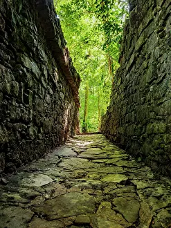 Palenque Prints: Bats Group, Palenque Archaeological Site, Palenque, Chiapas State, Mexico