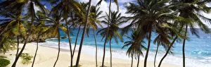 Faraway Prints: Bottom Bay, Barbados, Caribbean, West Indies