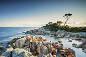 Images Dated 30th November 2016: Bay of Fires, Binalong Bay, Tasmania